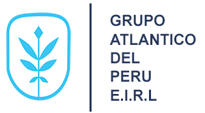 grupoatlanticodelperu.com